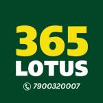 Lotus365 exchange Profile Picture