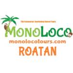 MonoLoco Tours Profile Picture